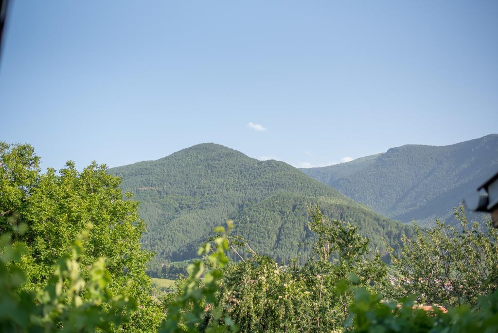 Guesthouse Juli Szapareva Banja Kültér fotó