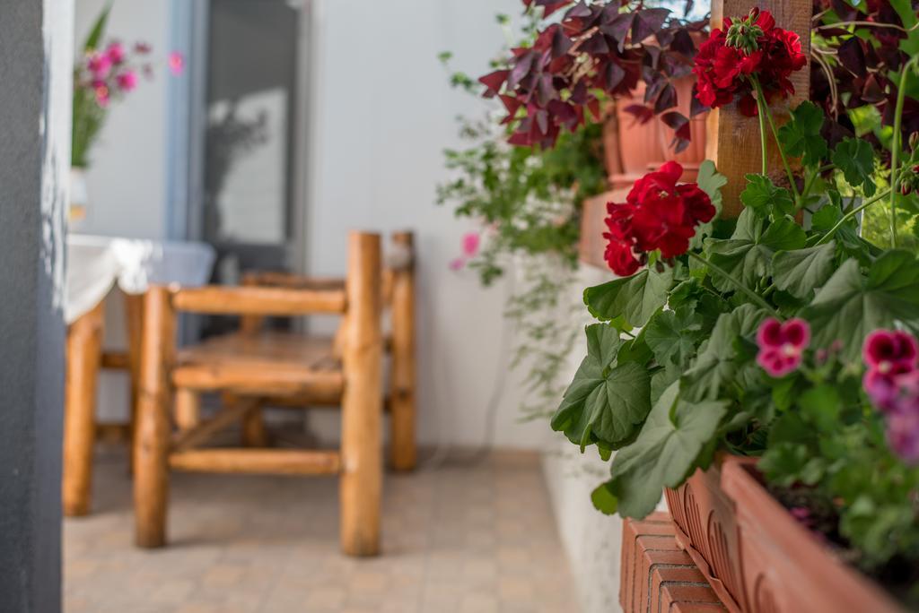 Guesthouse Juli Szapareva Banja Kültér fotó