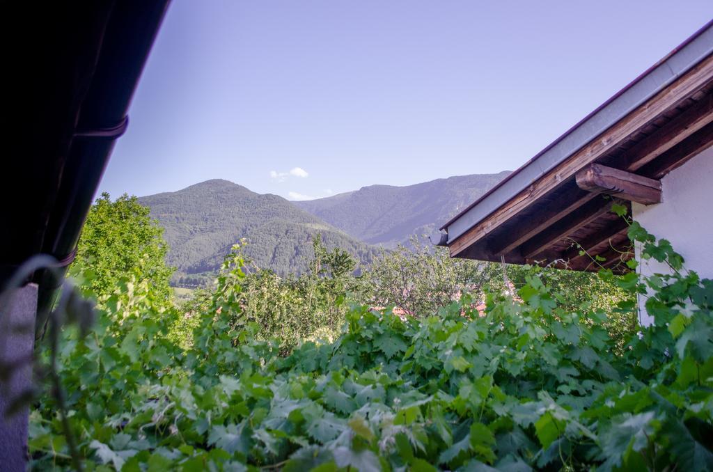 Guesthouse Juli Szapareva Banja Kültér fotó