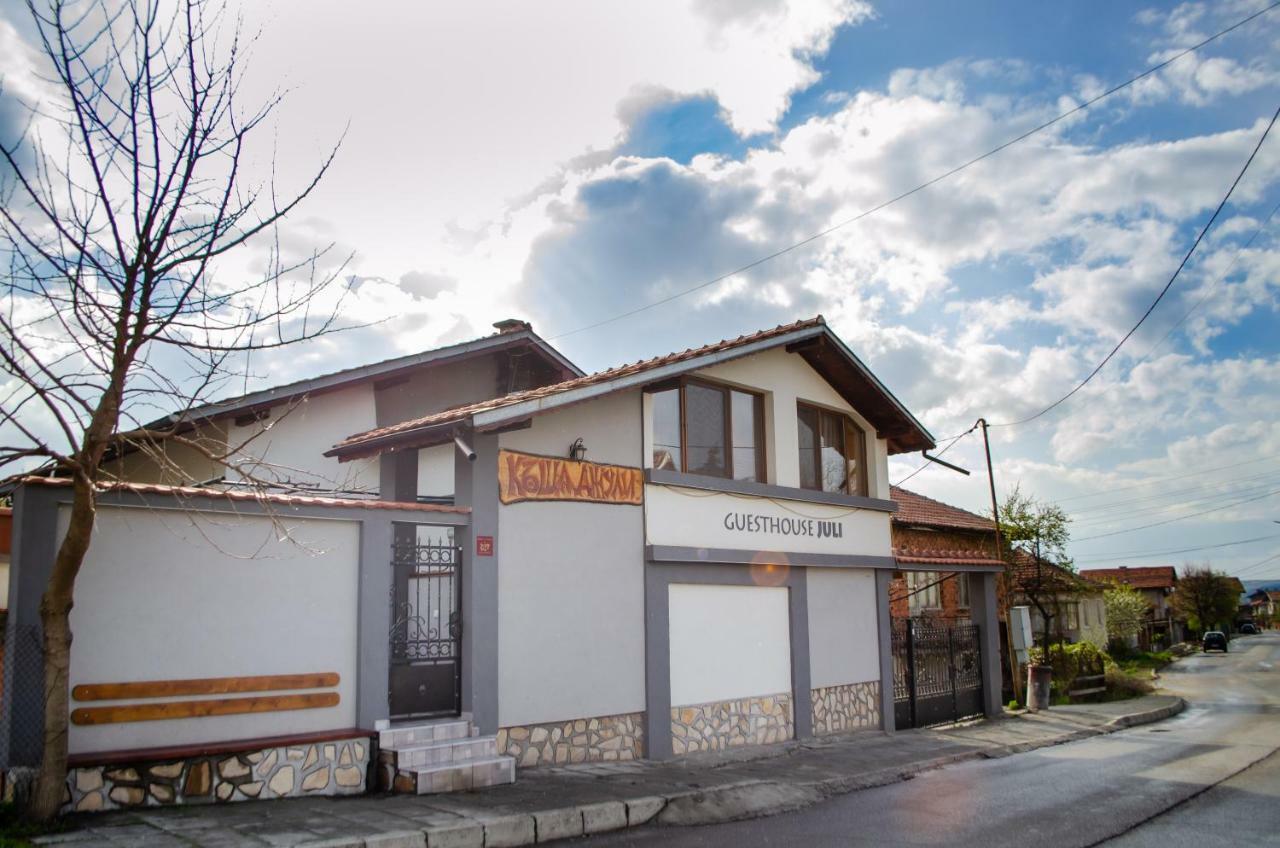 Guesthouse Juli Szapareva Banja Kültér fotó