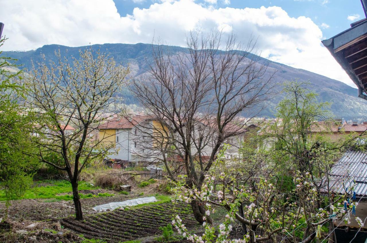 Guesthouse Juli Szapareva Banja Kültér fotó
