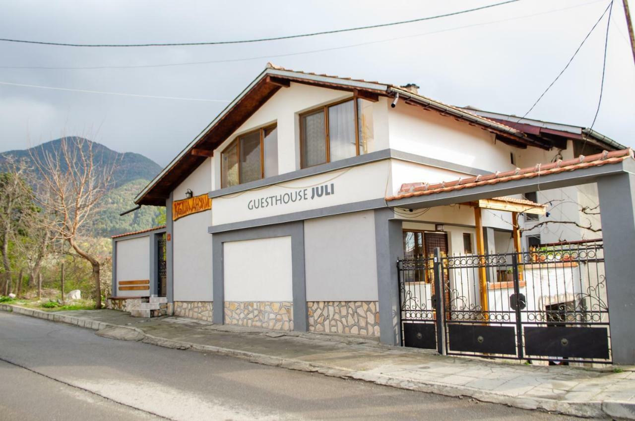 Guesthouse Juli Szapareva Banja Kültér fotó