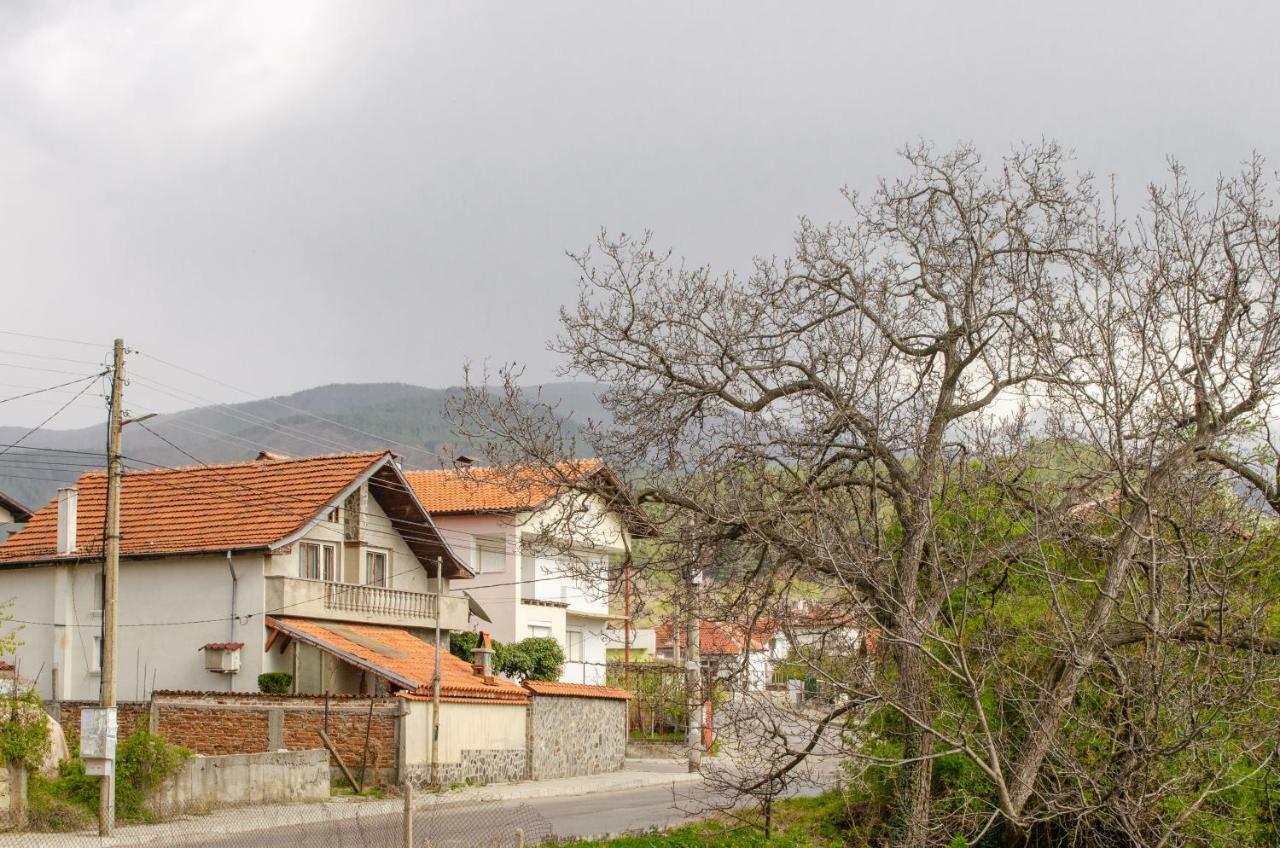 Guesthouse Juli Szapareva Banja Kültér fotó